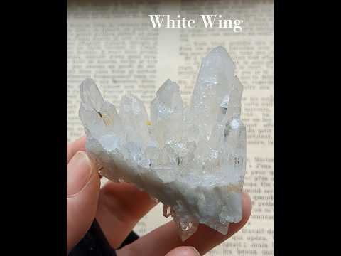 デンドライト・イン・クォーツ・クラスター　両剣水晶　White Light Wing　ポルトガル・パナスケイラ産　56ｇ
